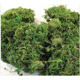 Musgo Verde Desidratado Para Decoração Arranjo Flores 500gr