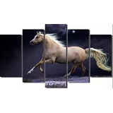 Quadro 5 Peças Cavalo Baios