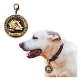 Placa Perro Personalizada Inoxidable Razas Medalla Grande Color Labrador