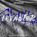 Disco Cle: Levanter  - Stray Kids