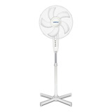 Ventilador Pedestal American 7316 16 Pul Silencioso 3 Vel