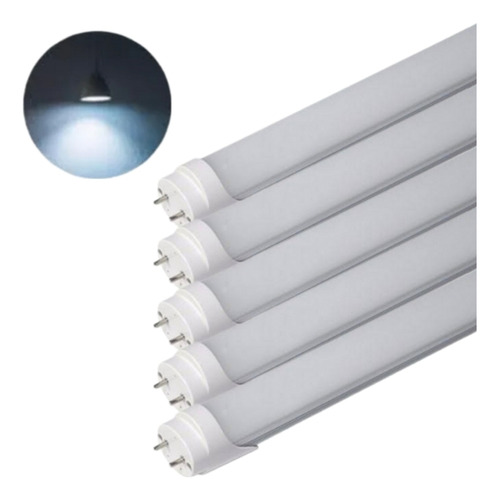 5 Lampada Tubular Led T8 7w 40cm Branco Frio 6500k Bivolt