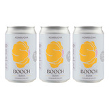 Booch Soda Agroecológica Kombucha Antioxidante Digestivo X3