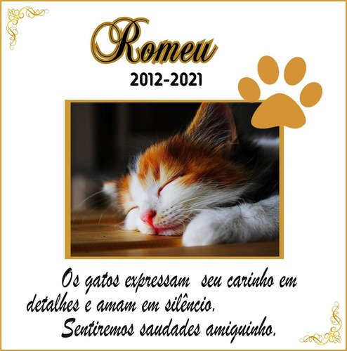 Placa Identificação Pet Cemitério Cachorros E Gatos Azulejo