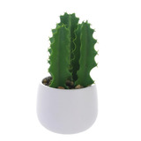 Planta Decorativa Cactus Suculento 25 Cms Maceta Blanca