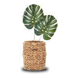 Planta Artificial Hoja Costilla De Adan Deco Interiores 70cm