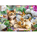 Kit De Pintura Con Diamantes 5d Gatos Entre Flores 40x30 Cm