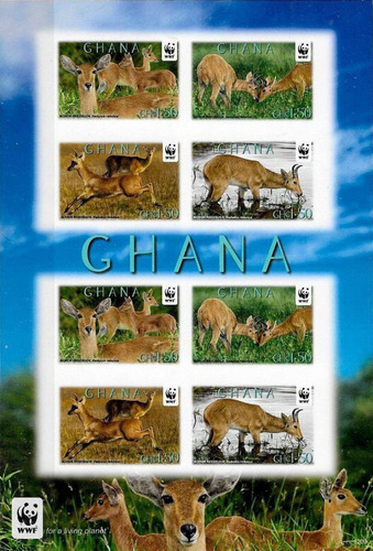 Fauna - Wwf - Antílope - Ghana 2012 - Hojita Mint Sin Dentar