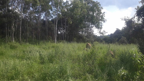 Chácara Em Rio Claro 24.200m2 Com Rio - Imagen 2