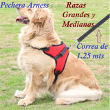 Pechera Arness Reforzada Perro + Correa