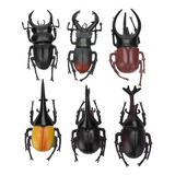 6 Piezas De Simulación De Escarabajo Modelo De Insectos Acce