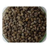 Sementes Amendoim Forrageiro - Caixa Com 500 Gramas