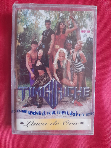 Timbiriche Cassete Piel A Piel/línea De Oro/sin Abrir New