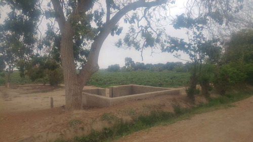 Se Vende Terreno Agrícola De 4.6 Hectáreas, Ubicado En Lurinchincha, Provincia De Chincha. - Imagen 2