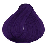 Tinte Loquay  Primer Tinta Color Tono Violeta Profundo X 60g