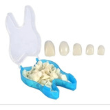 Kit 6 Dentes Coroas Ocas Acrílicas A3 + Massa Preenchimento