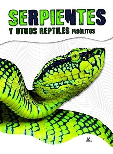 Serpientes Y Otros Reptiles - Libro Infantil