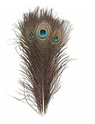 Plumas De Ojos De Pavo Real Naturales Reales De 11-14 Pulgad