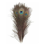 Plumas De Ojos De Pavo Real Naturales Reales De 11-14 Pulgad