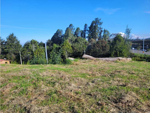 Venta De Lote En Alto De Las Palmas Variante Aeropuerto