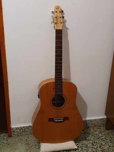 Electroacustica Seagull Natural Elements Sg Godin (u$s700)