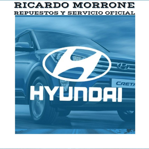 Filtro De Aire Para Hyundai Veracruz Nafta 3.8 Foto 2