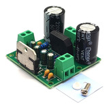 Modulo Amplificador Audio Mono 100w  Tda7293  12-32v Sgk
