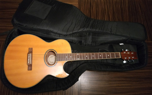 Guitarra Electroacustica Washburn Modelo Ea20