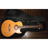 Guitarra Electroacustica Washburn Modelo Ea20