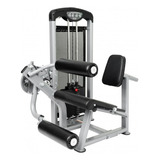 Extensión Y Curl Sentado Dual Profesional 90kg Gym Gimnasio