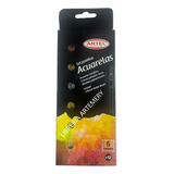 Acuarela Artel 6 Pastillas Incluye Pincel De Agua Color Tierra