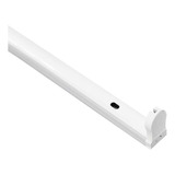 Paq 50 Gabinete Canaleta Sencilla Para Tubo Led T8 G13 120cm