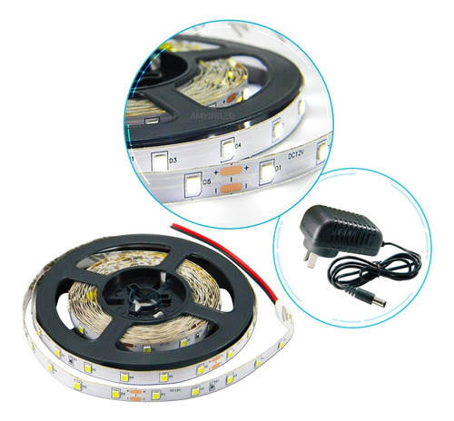 Tira Led 3528 / 2835 Interior 5m 300led +fuente 12v Mayorled