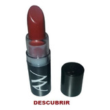 Artez Westerley Labial Varios Tonos Color Descubrir