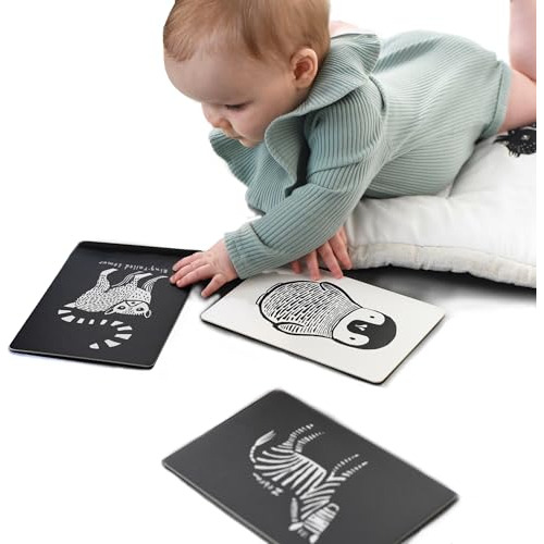 Wee Gallery Black And White Art Flash Cards For Babies, High