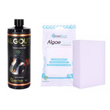 Kit Algout Anti Algas 500ml + Esponja Limpa Vidro Aquário