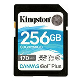 Kingston Tarjeta De Memoria Sdxc Canvas Go Plus (256 Gb, 170