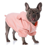 Suéter Para Perros, Sudadera Con Estampado De Mascotas Para 