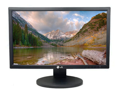 Monitor LG Wide E2011p 20 Polegadas