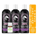 3 Shampoos Extracto Cola De Caballo + Aceite De Bergamota