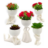 Kit 5 Vasinhos Suculentas Robert Bbb Bob Planta Decorativo