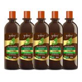 Kit 5 Shampoo Vegano Guaxima 500ml - Yabae 