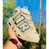 Nike Pippen Uptempo C/a