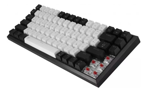 Teclado Batauroboskar Mecánico Switchred 75% Inalámbrico Rgb