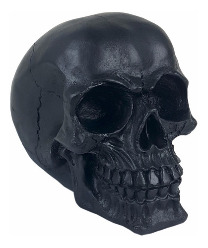 Crânio Caveira Esqueleto Black Skull Preto Decorativo