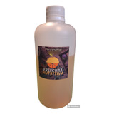 Te De Arranque Para Preparar Kombucha Frescura Nutritiva 