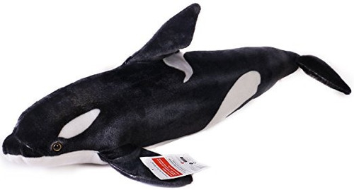 Octavius ¿¿la Orca Pez Negro | Más De 2 1/2 Pies De Largo Gr