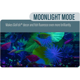 Glofish Betta Shadowbox Aquarium Kit