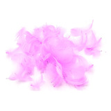 Plumas Decorativas Purpura 100pcs