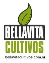 Carpa Indoor Cultivo 80x80x160 / Bellavita - Kaizen Growshop